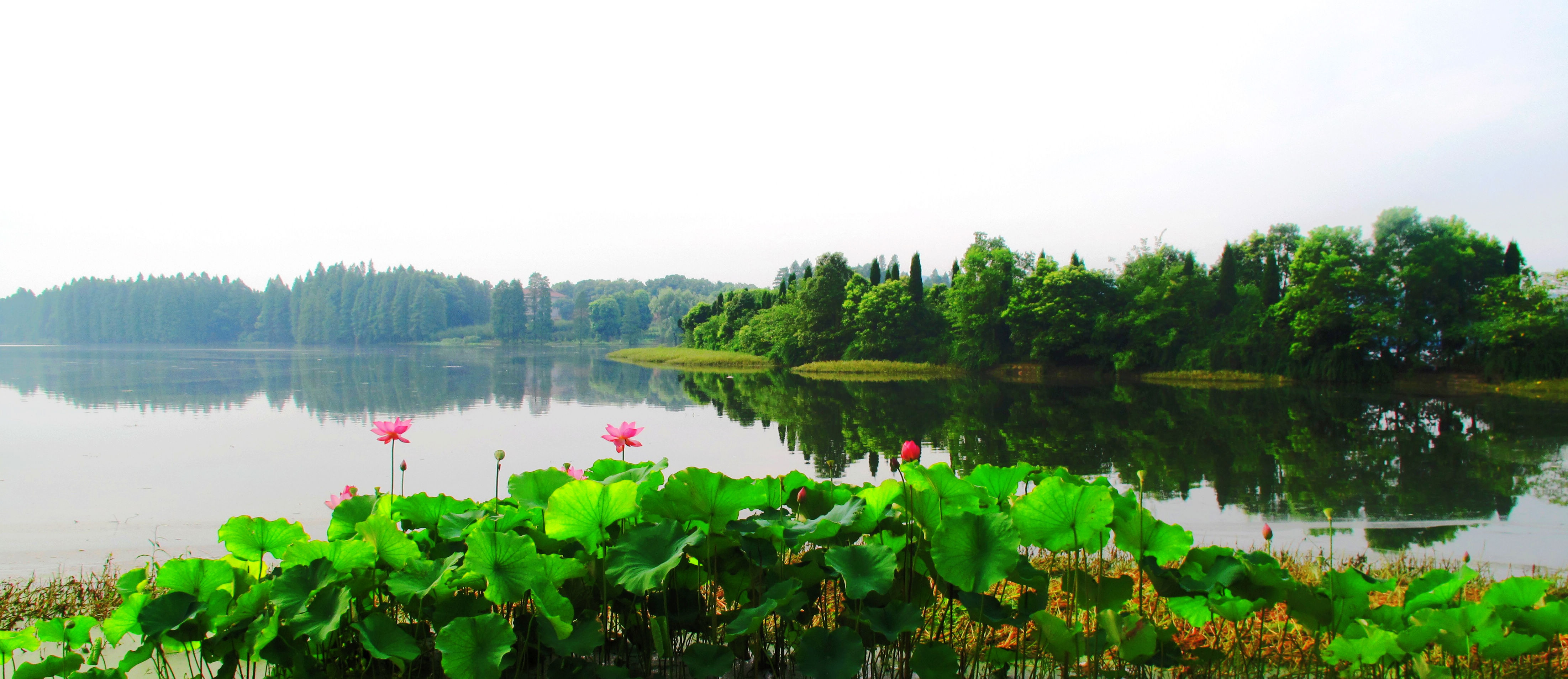武汉东湖风景