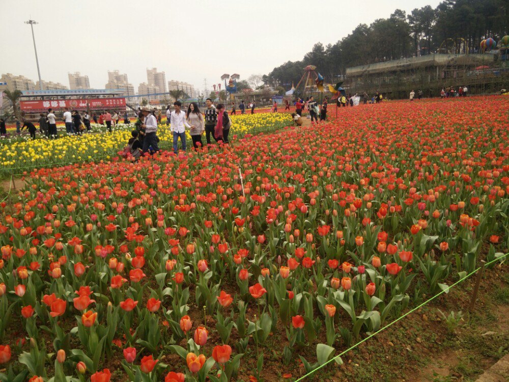 湖南省森林植物园