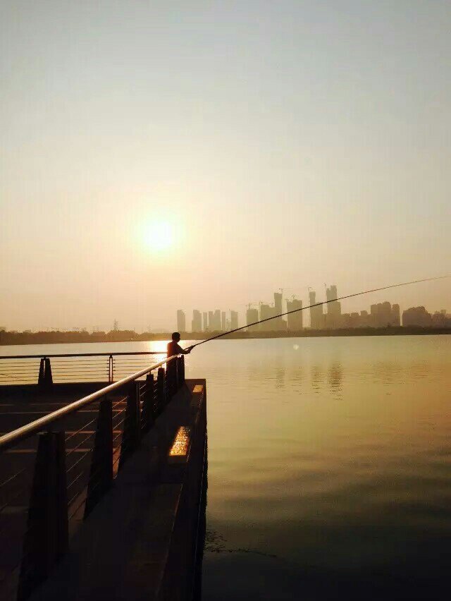 【携程攻略】蚌埠龙子湖风景区景点,多么美的风景啊!