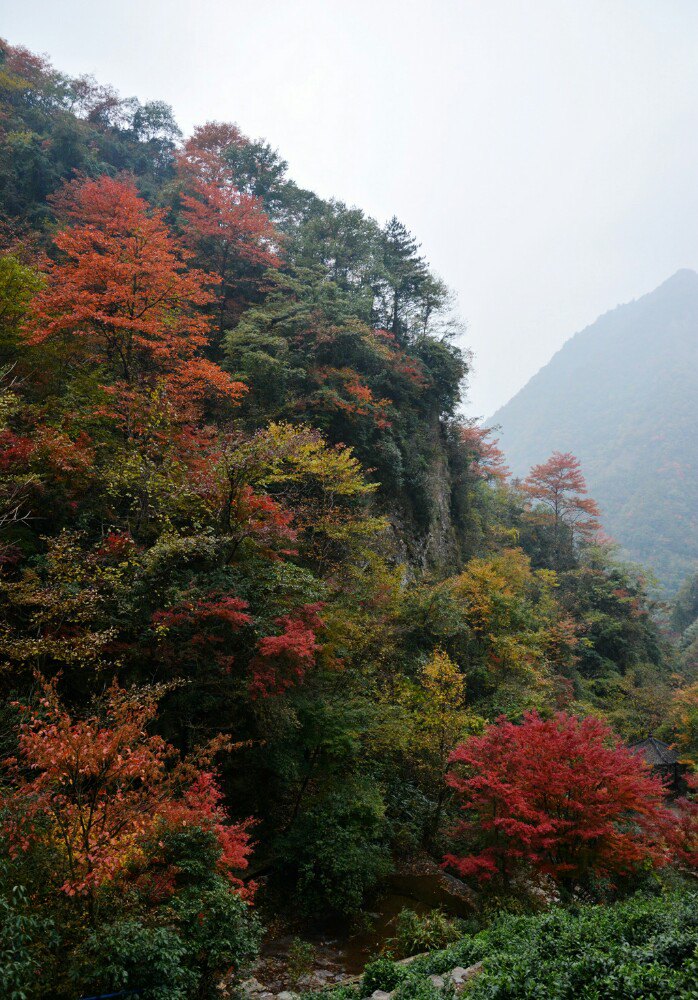 2019九龙峡景区_旅游攻略_门票_地址_游记点评,安吉旅游景点推荐 去