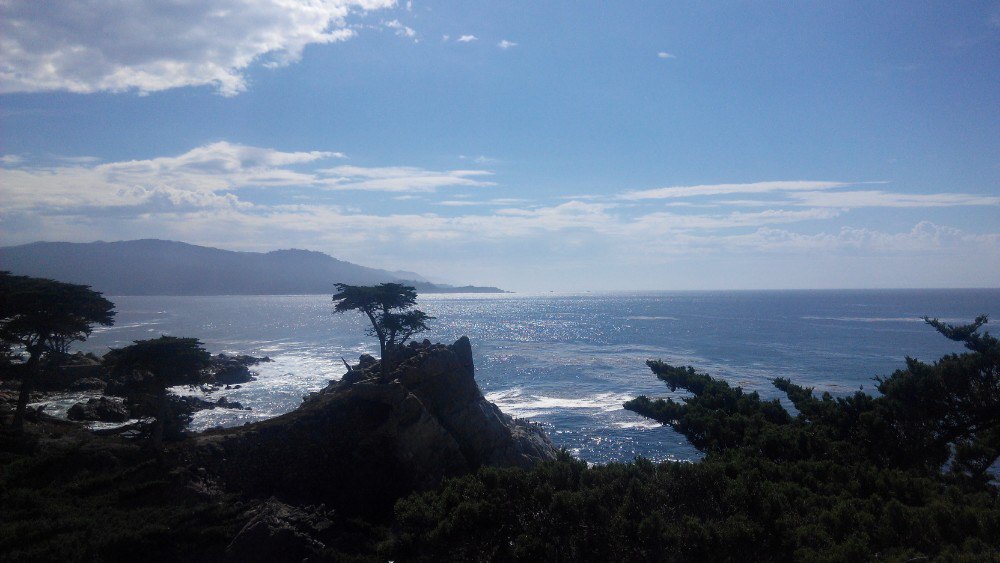 旧金山蒙特利海湾及17里湾风景线一日游