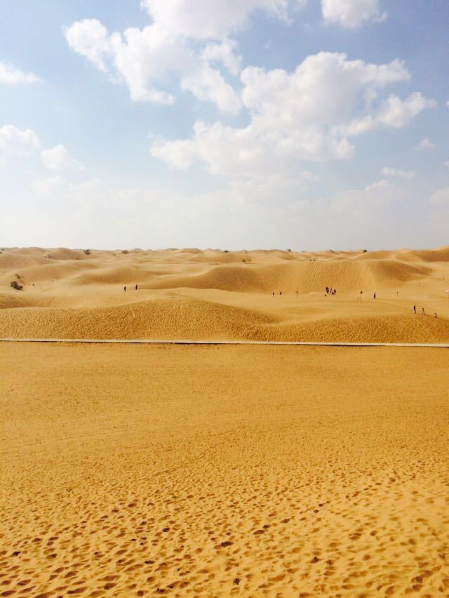 【携程攻略】中卫沙坡头景点,沙漠绿洲,景色很美,旅游