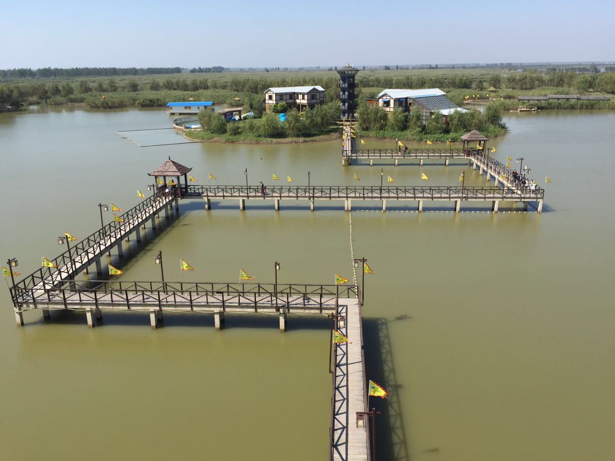 高邮湖芦苇荡湿地公园旅游景点攻略图