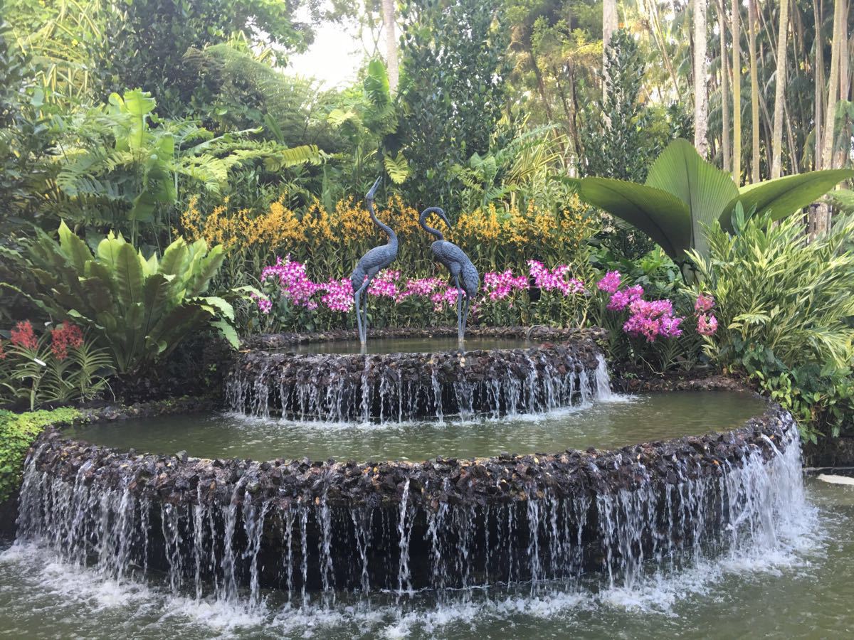 2020新加坡植物园-旅游攻略-门票-地址-问答-游记点评，新加坡旅游旅游景点推荐-去哪儿攻略