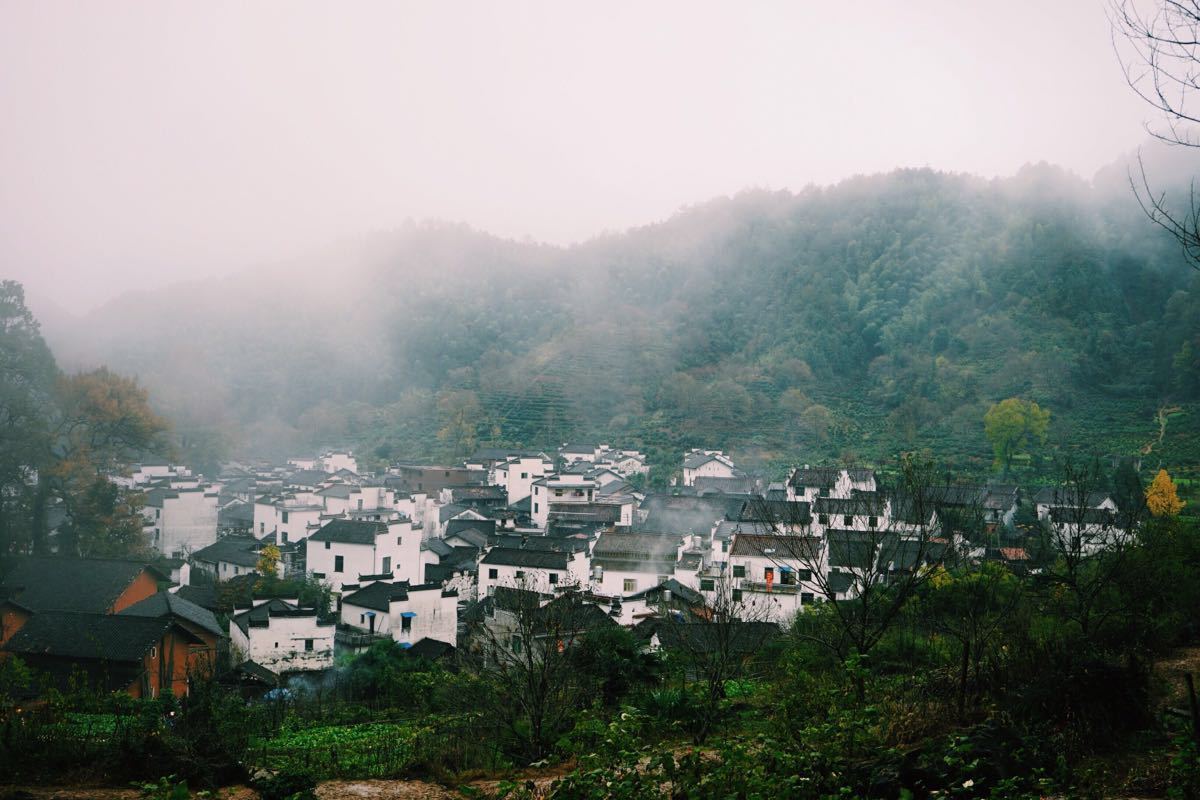 2019石城程村_旅游攻略_门票_地址_游记点评,婺源旅游