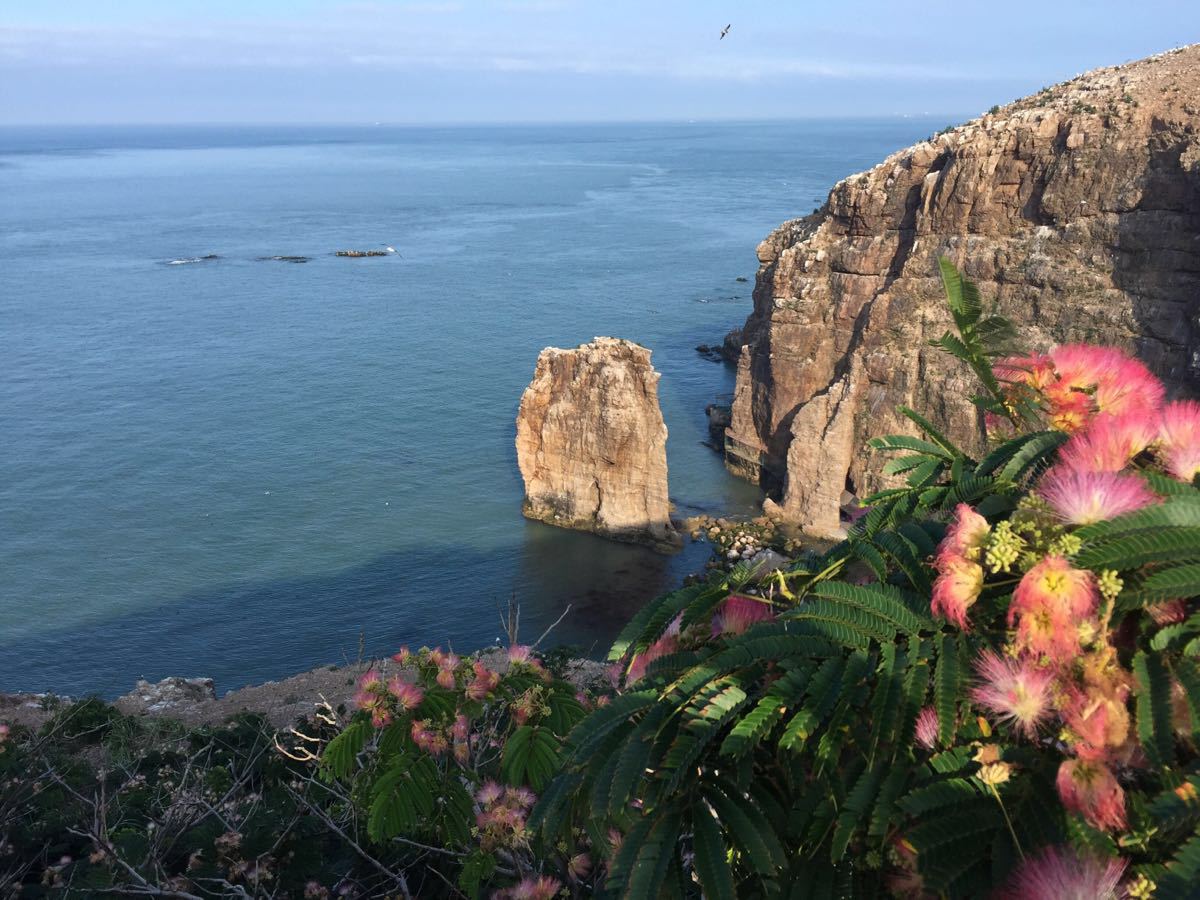 【携程攻略】山东威海荣成海驴岛好玩吗,山东海驴岛景点怎麼样_点评