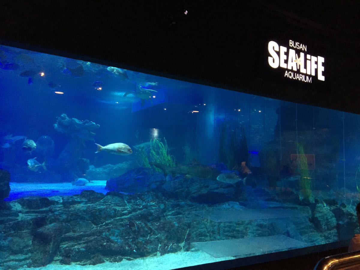 釜山水族馆