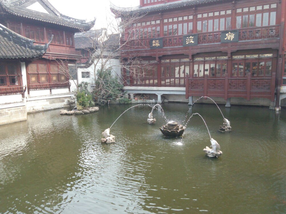 坐定,泡一壶龙井,赏窗外风景,豫园,南翔小笼馆,绿波廊酒家尽收眼底