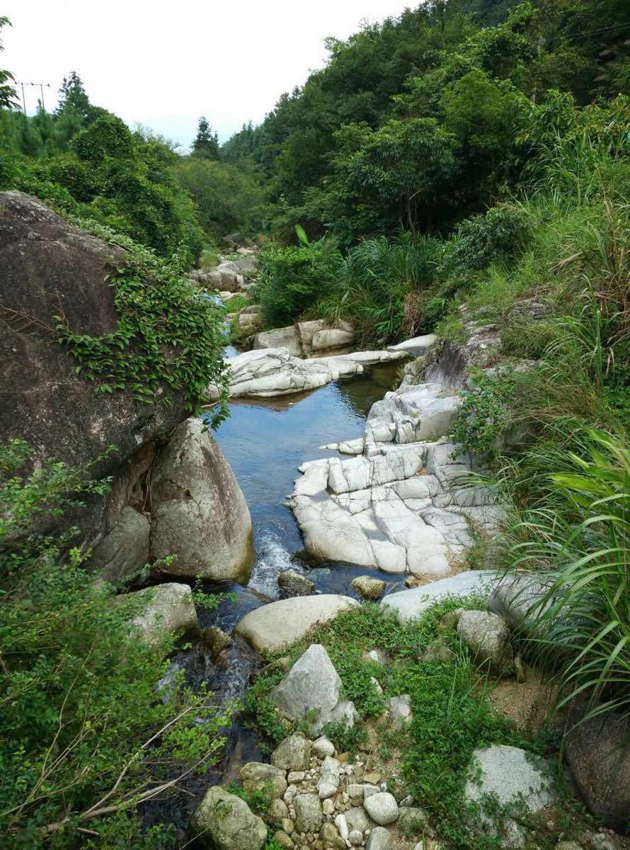 新兴天露山旅游度假区