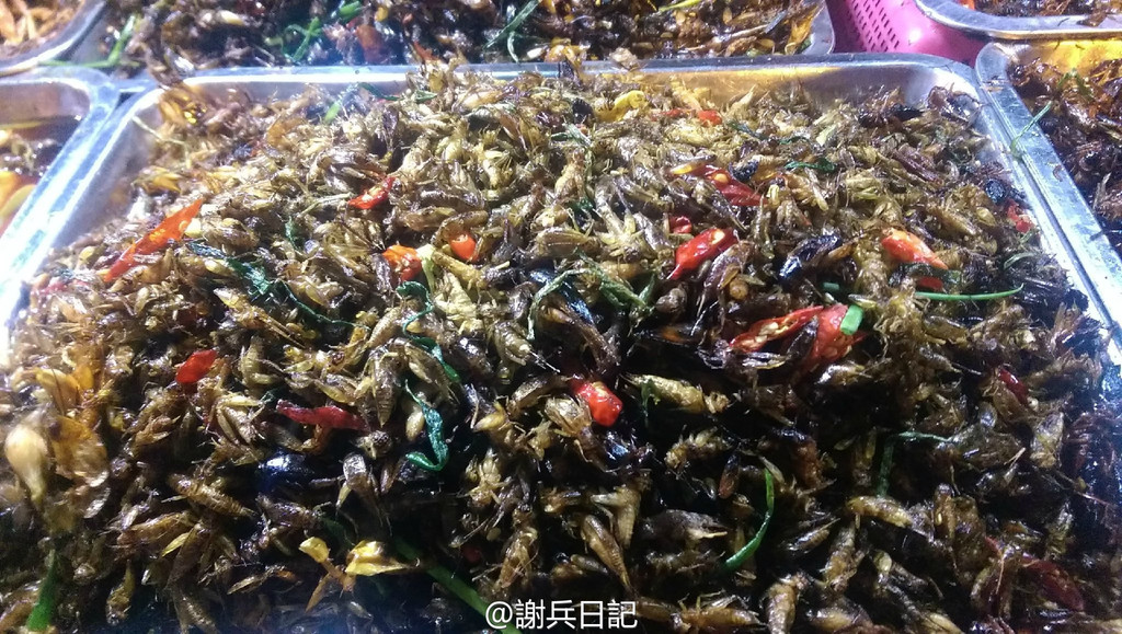 【柬埔寨】吴哥窟的微笑|舌尖上的蟑螂大餐