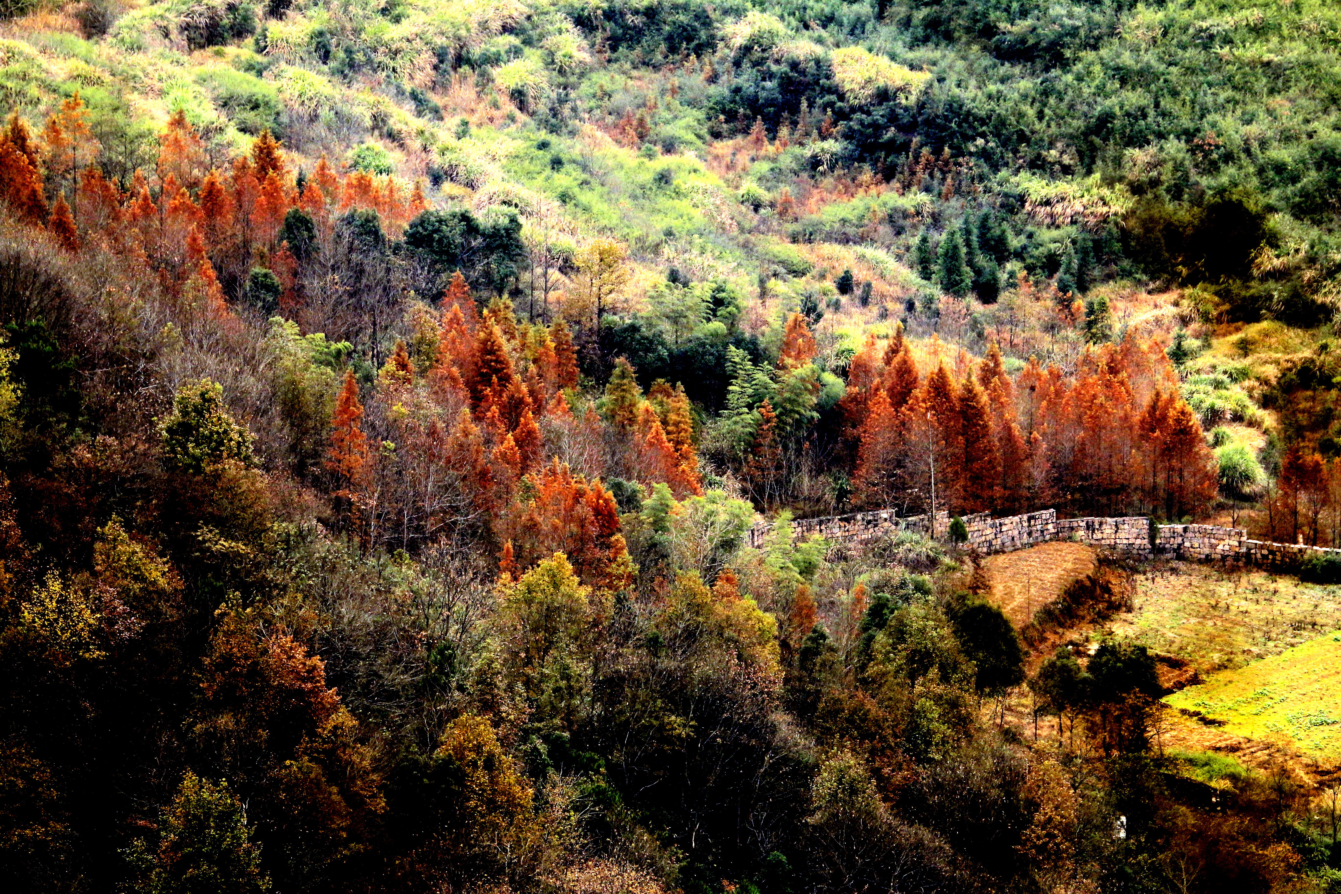 青阳九子岩景区攻略,青阳九子岩景区门票/游玩攻略