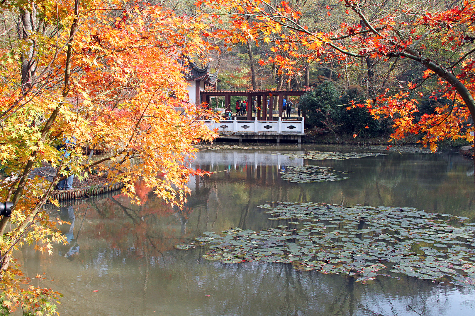 【携程攻略】南京栖霞山适合朋友出游旅游吗,栖霞山朋友出游景点推荐