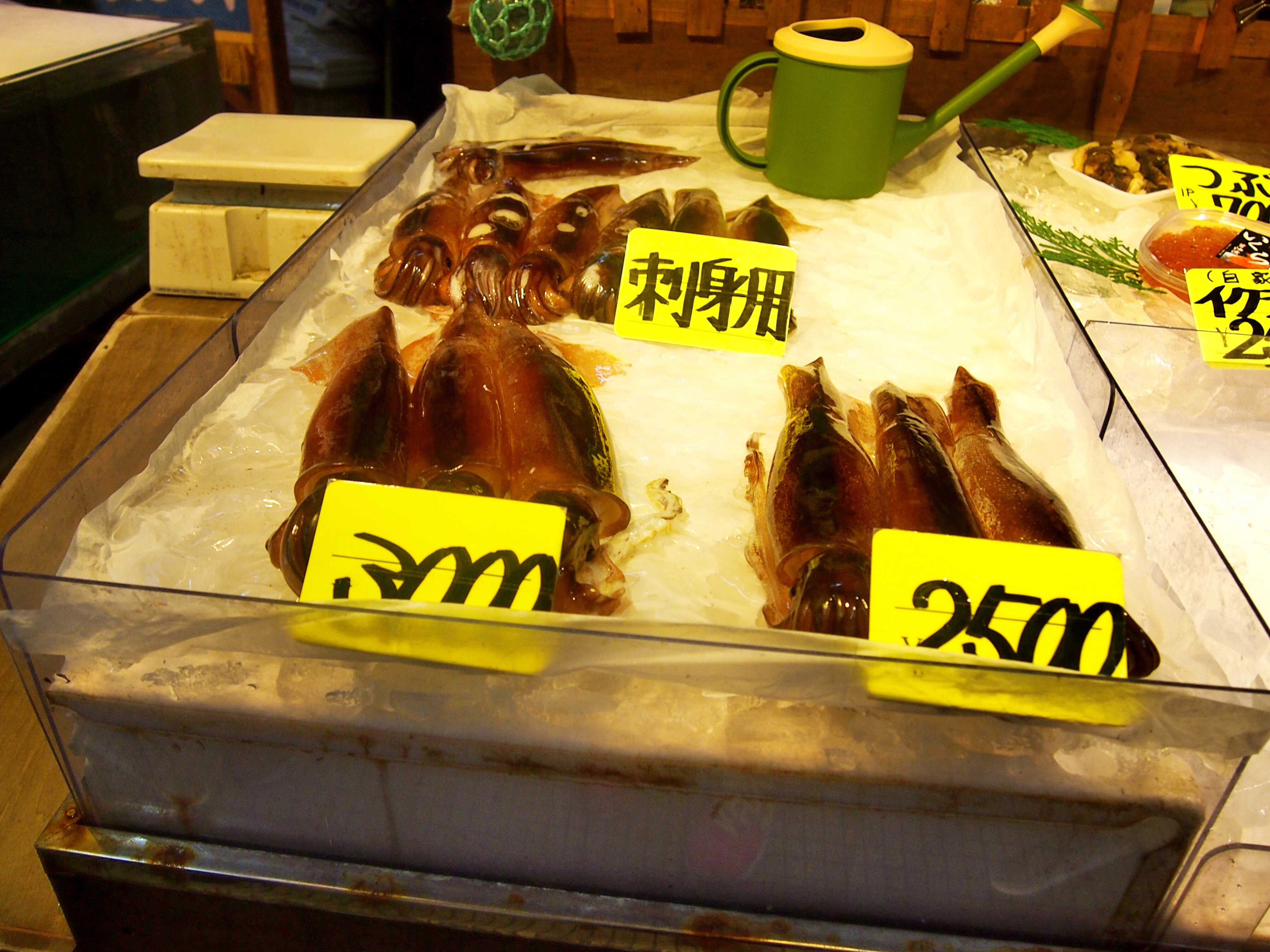 随手拍#【初秋日本】快步东京,慢行北海道,泡汤美食8日