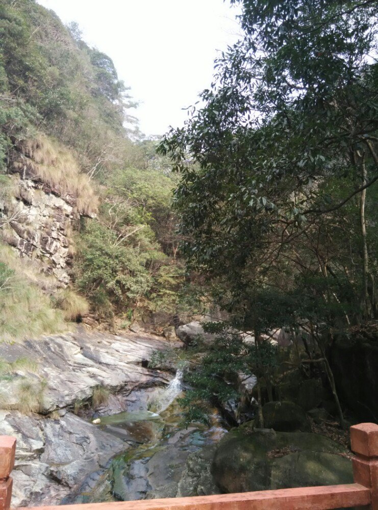 祁门祁门牯牛降好玩吗,祁门祁门牯牛降景点怎么样