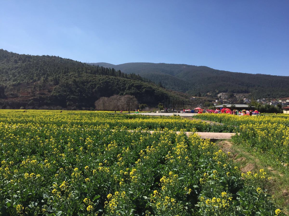 金色螳螂川风景区