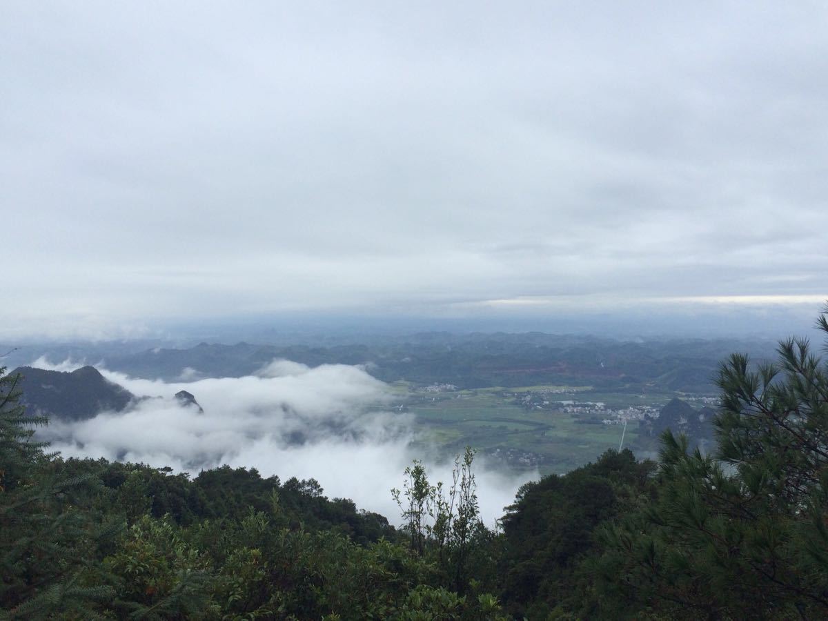 2019大明山_旅游攻略_门票_地址_游记点评,南宁旅游景点推荐 - 去哪儿