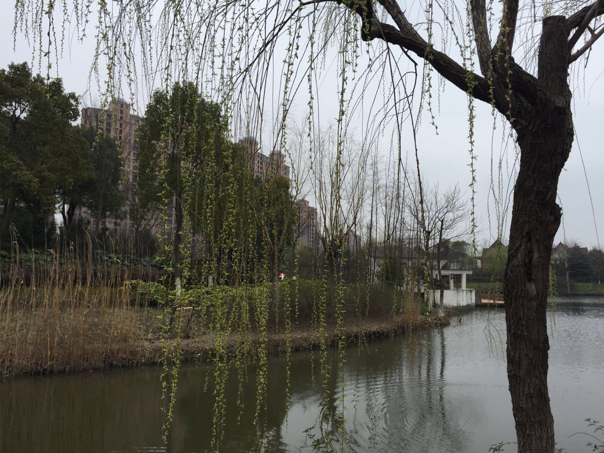 罗泾公园旅游景点攻略图