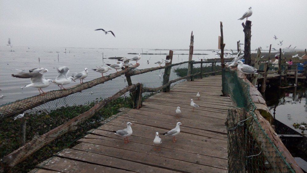 通海纳古镇好玩吗,通海纳古镇景点怎么样_点评_评价【携程攻略】