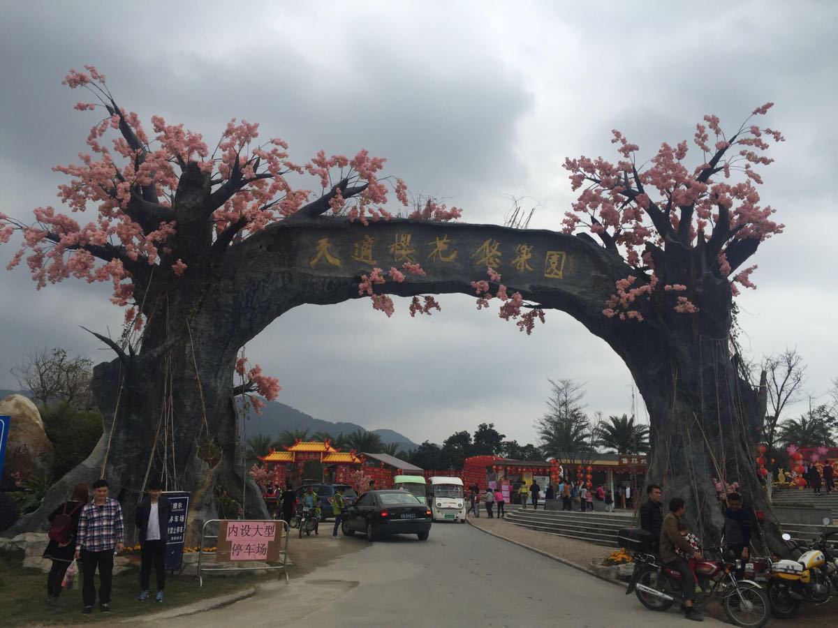 天适樱花悠乐园