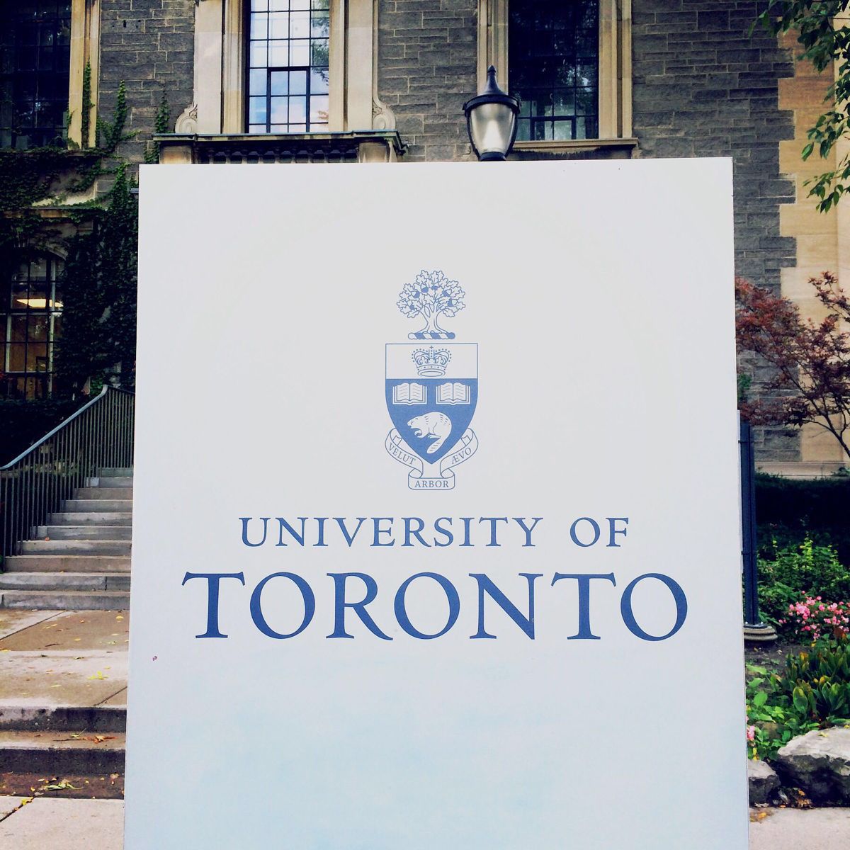 多伦多大学