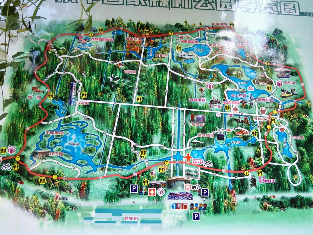 东平国家森林公园