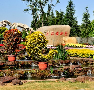 上海植物园旅游景点攻略图