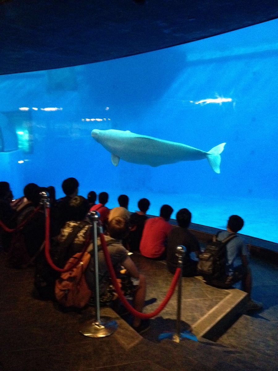 台湾海洋生物博物馆