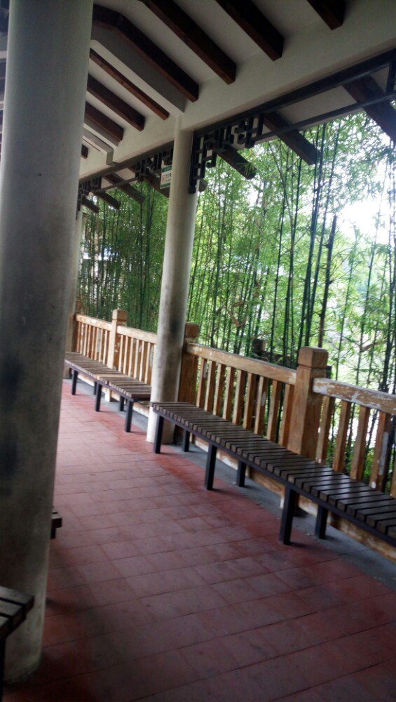 深圳松岗公园好玩吗,深圳松岗公园景点怎么样_点评