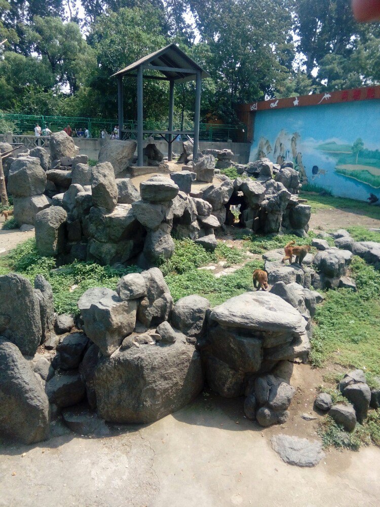 济南动物园jinan zoo