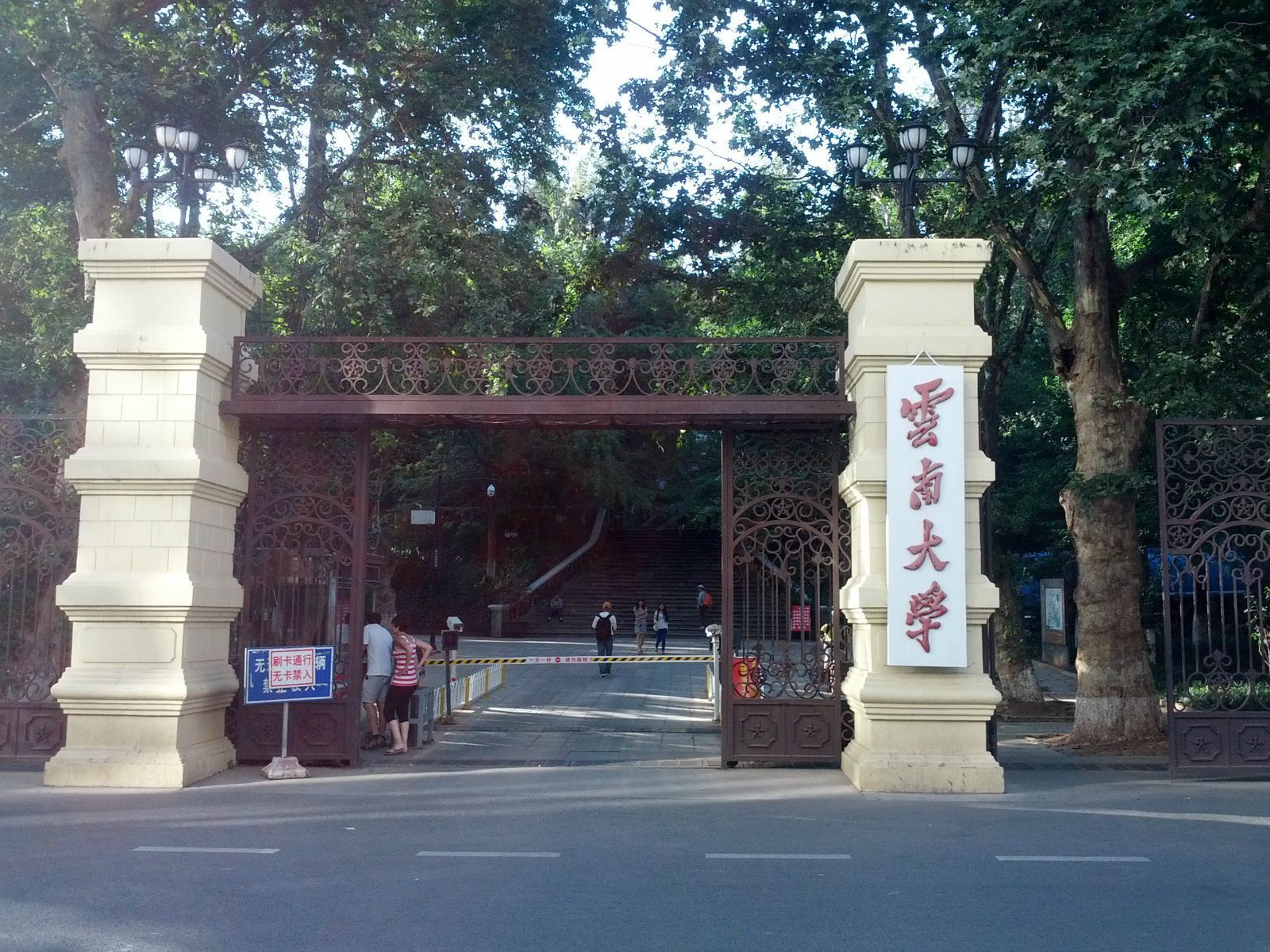 2019云南大学_旅游攻略_门票_地址_游记点评,昆明旅游