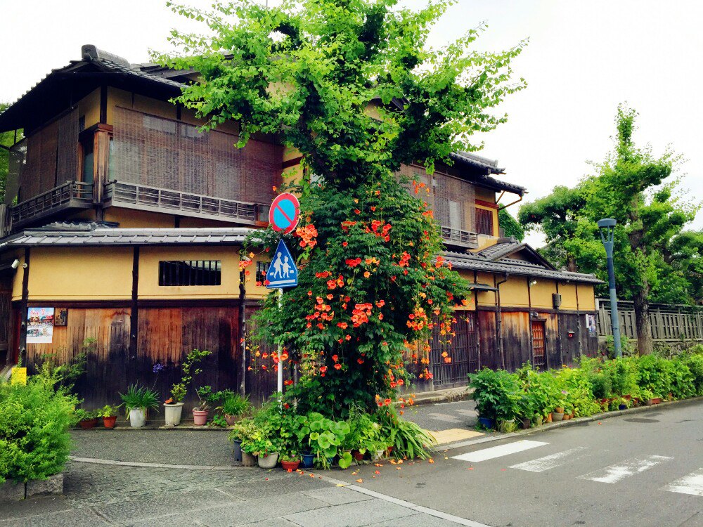 【携程攻略】京都花见小路景点,京都旅游街区,必到,,.