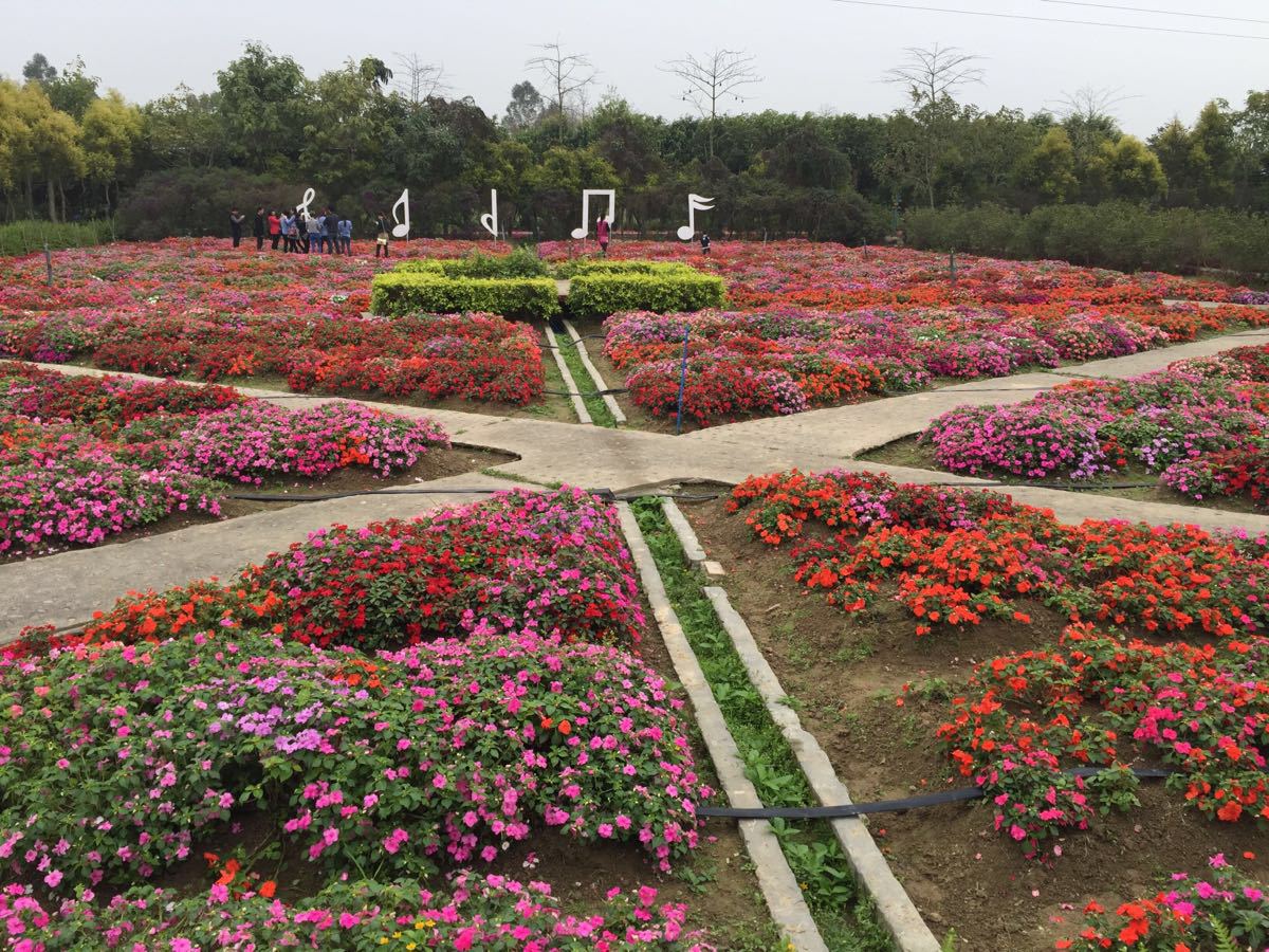 花都香草世界旅游景点攻略图