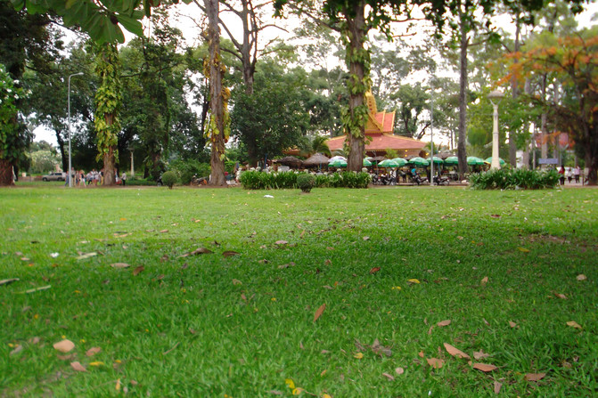 公园内的绿色草坪,小草很嫩绿,放眼望去,如给公园铺上了绿毯.