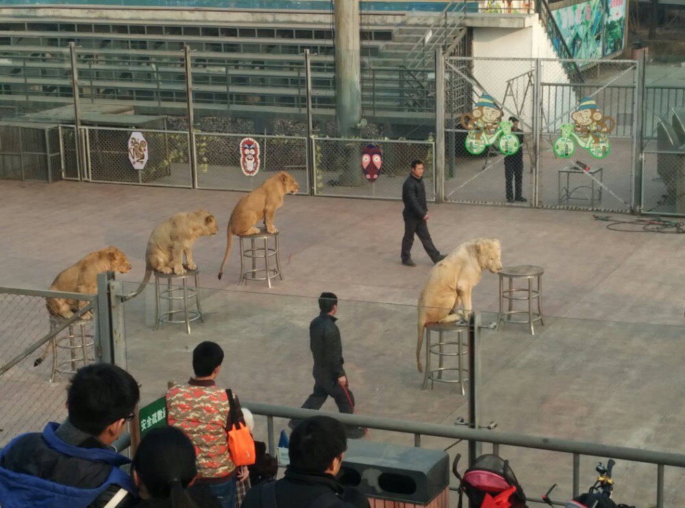 北京野生动物园