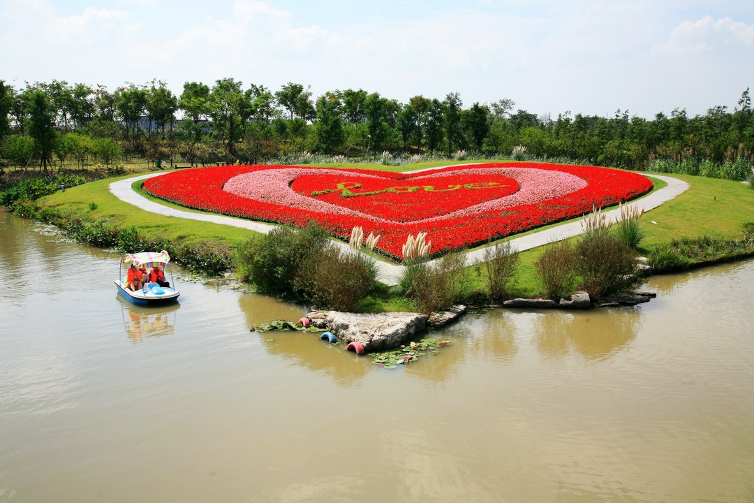 2018周浦花海_旅游攻略_门票_地址_游记点评,上海旅游