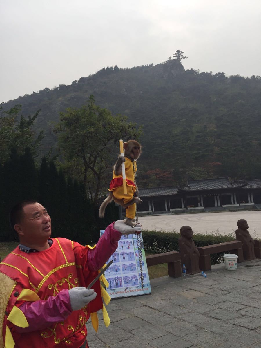 【携程攻略】连云港花果山好玩吗,连云港花果山景点样