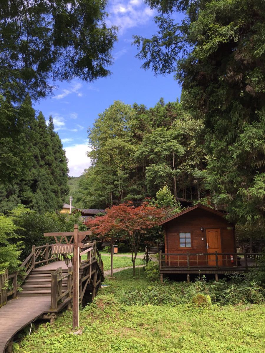 【携程攻略】咸丰坪坝营原生态休闲旅游区景点,恩施坪坝营,满眼的绿色