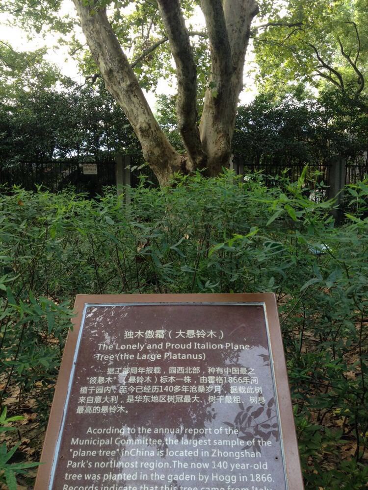 老上海代表:中山公园