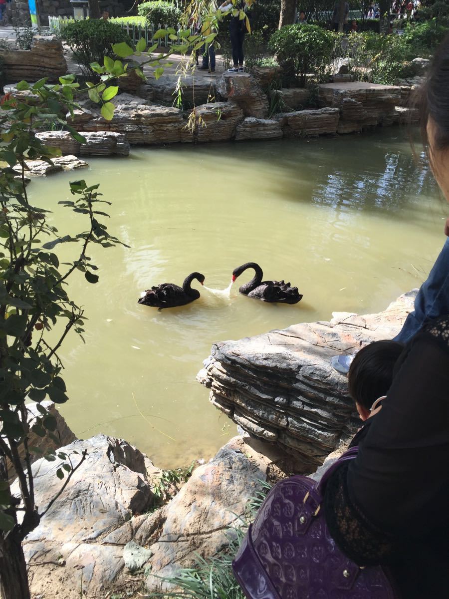 郑州动物园