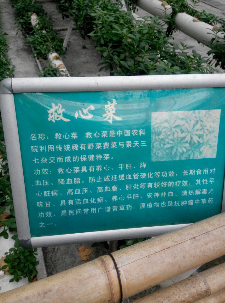 阜阳生态园旅游景点攻略图