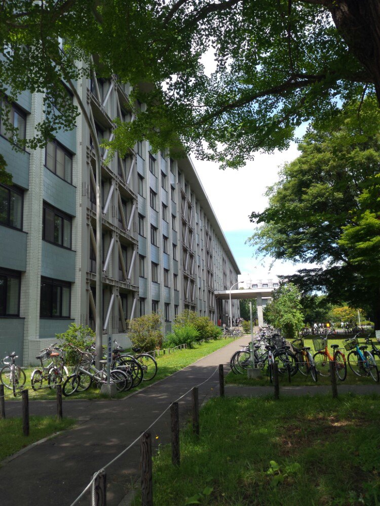 北海道大学