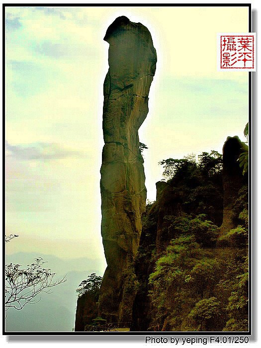 司春女神