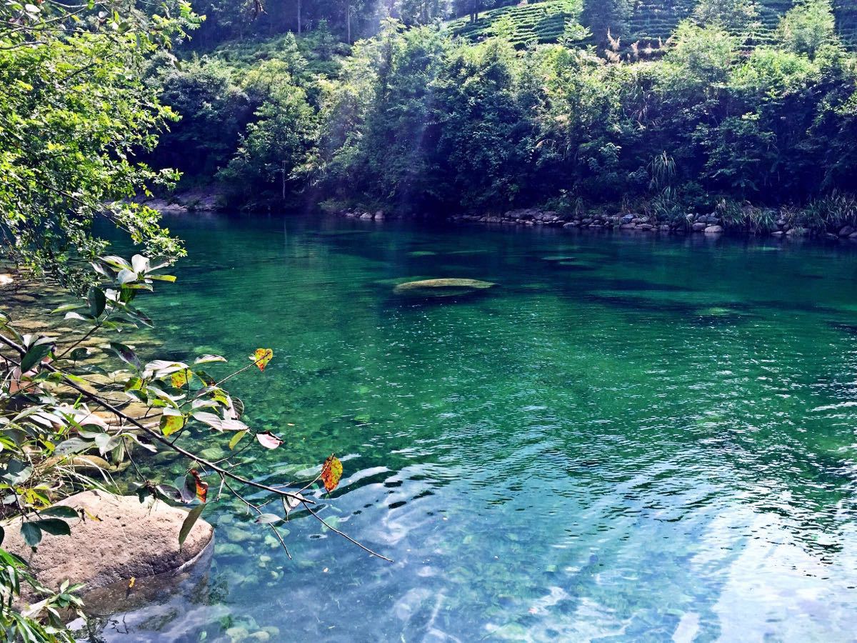 2019石台牯牛降_旅游攻略_门票_地址_游记点评,池州旅游景点推荐 去