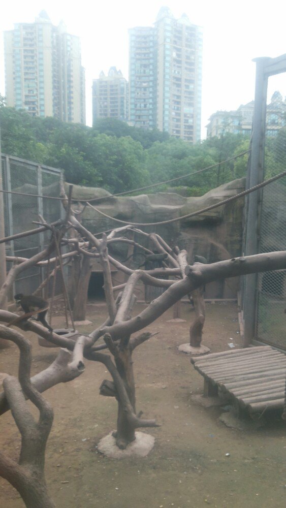 重庆动物园