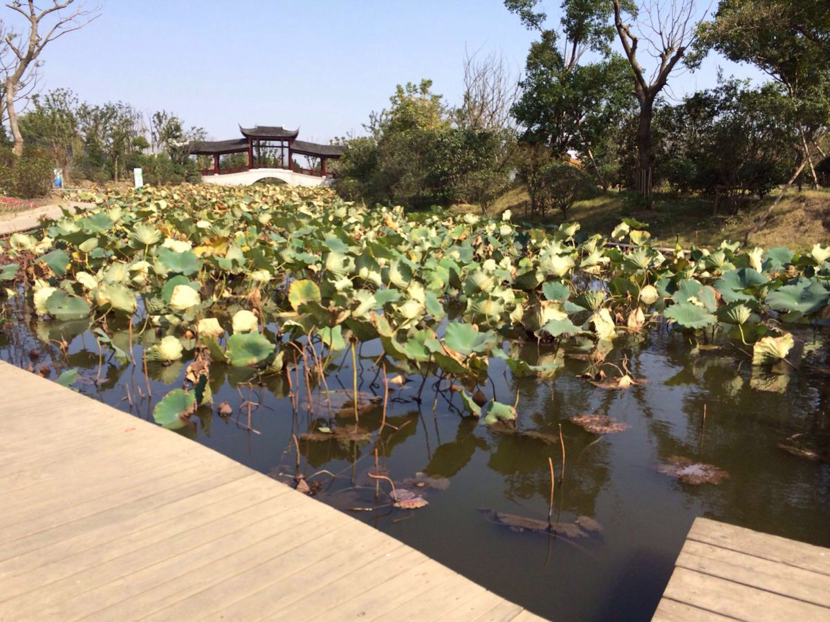 2019啬园_旅游攻略_门票_地址_游记点评,南通旅游景点