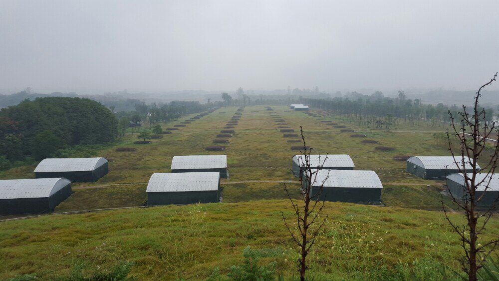 楚王车马阵景区(熊家冢国家考古遗址公园)