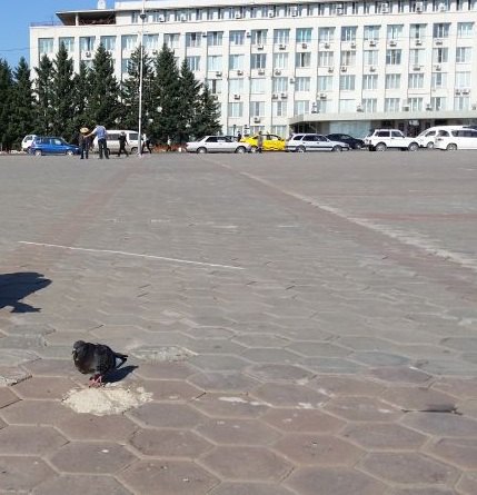 09月19日布拉戈维申斯克天气预报:小雨 气温: