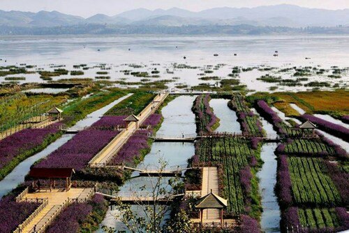 威宁浪漫草海风景区好玩吗,威宁浪漫草海风景区景点样