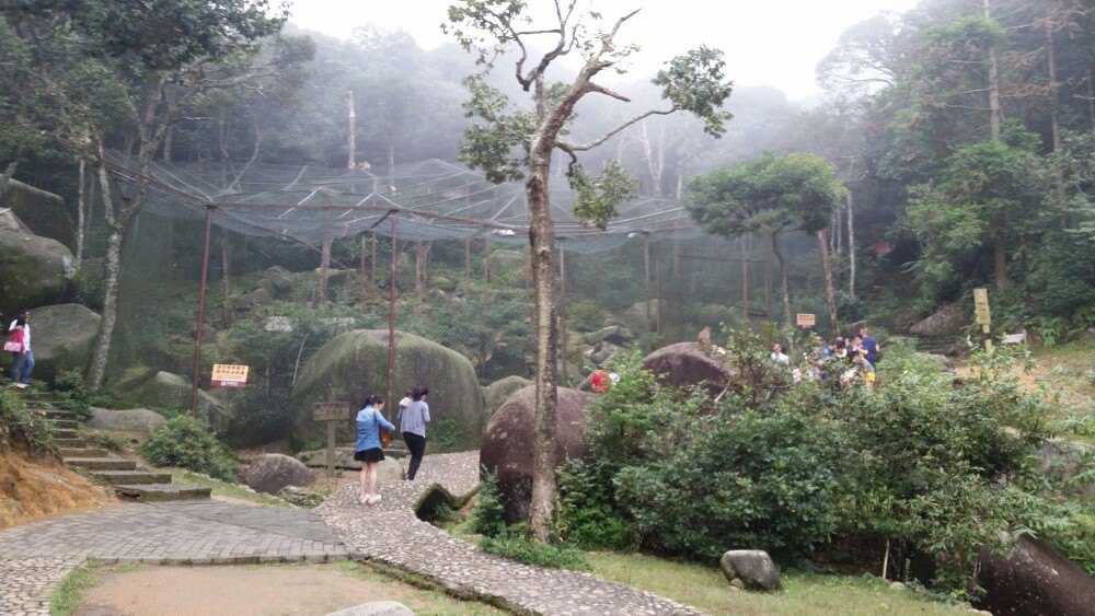 梅花山(中国虎园)