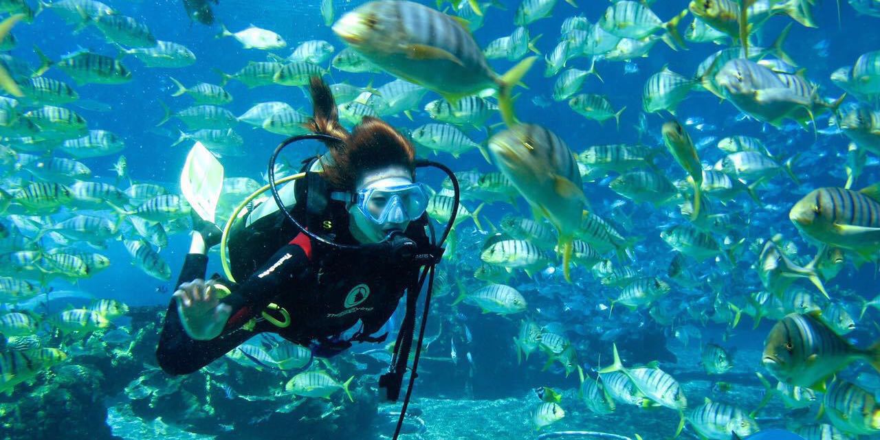 壁纸 海底 海底世界 海洋馆 水族馆 桌面 1280_641_图片素材 三亞鳳凰國際機場是海南南部最大的國際航空港,位于三亞市西北11公里處。目前已開通上海、北京、天津、廣州、港澳、西安、烏魯木齊、重慶、成都、貴陽、桂林、哈爾濱等地的航線,並與境內外63個城市通航。 機場交通: 三亞機場有機場大巴可到大東海、亞龍灣,運營時間9:00-24:00,每天首航、末航均有班車機動保障。